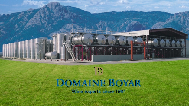 Domaine-Boyar-logo