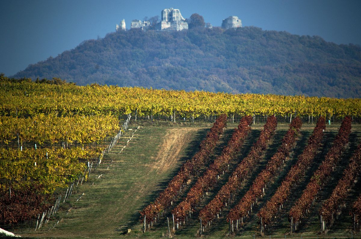 chateau-topolcianky-vinohrady-nestandard1